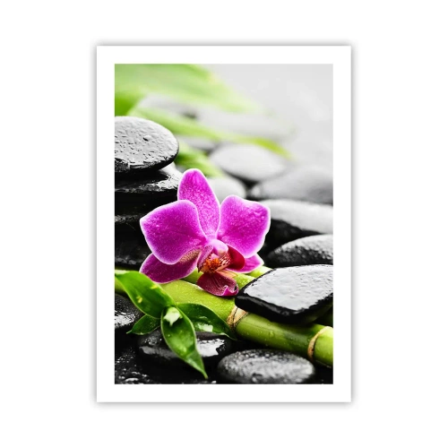 Poster - Într-un echilibru pașnic - 50x70 cm