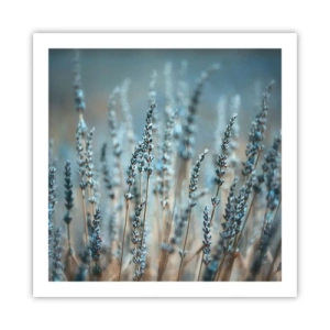 Poster - Câmpul parfumat - 60x60 cm