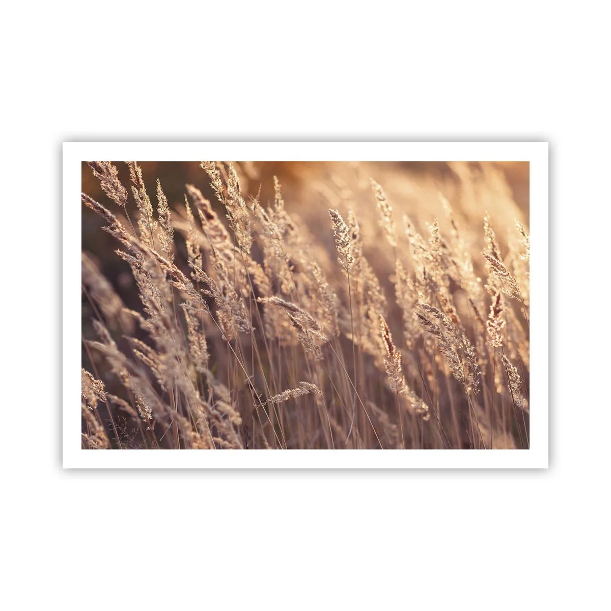 Poster - Gata să întâmpine toamna - 91x61 cm