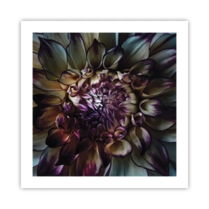 Poster - Înflorirea tinereții - 50x50 cm