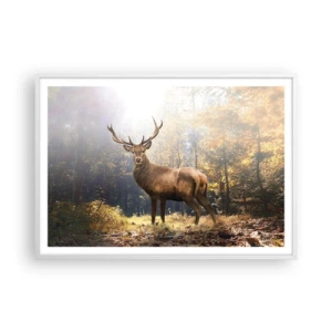 Poster în ramă albă - Măreție calmă - 100x70 cm