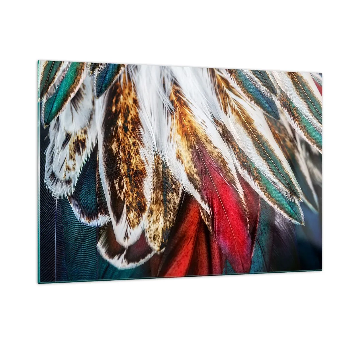 Tablou pe sticlă - Secretele zborului - 120x80 cm