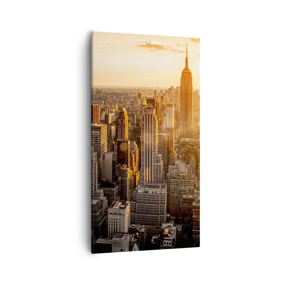 Tablou pe pânză - Crescând la soare - 55x100 cm