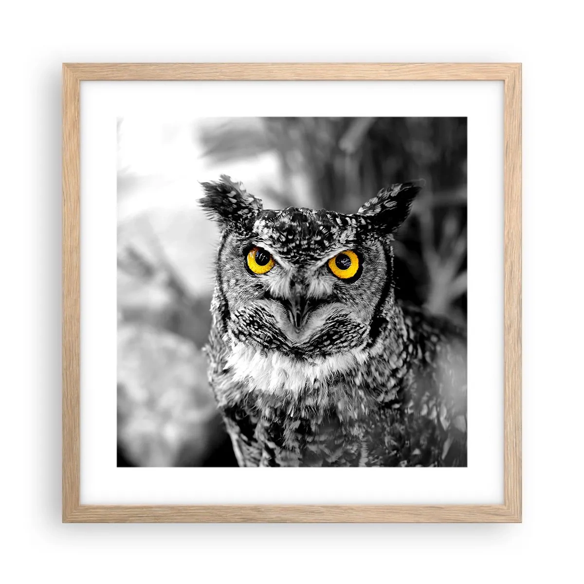 Poster în ramă de stejar deschis - Nimic nu poate fi ascuns - 40x40 cm