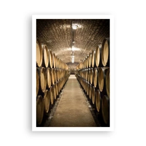 Poster - În pivniță de vin - 70x100 cm