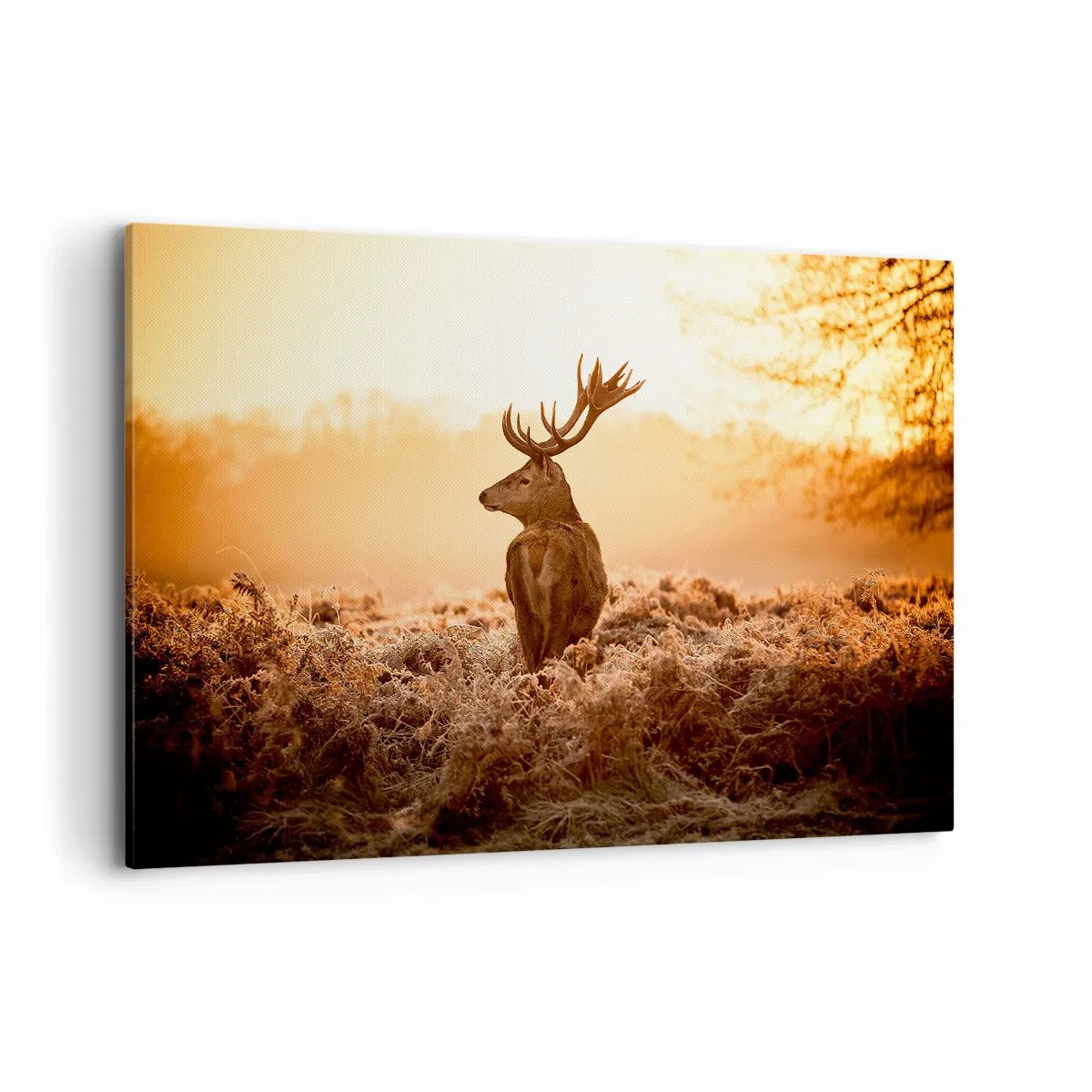 Tablou pe pânză - Stăpânul conacului - 120x80 cm