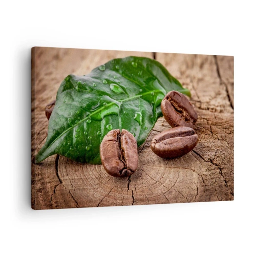 Tablou pe pânză Canvas - Boabe de cafea și frunză verde pe fundal de lemn - 70x50cm - Cea mai adevărată și închisă la culoare - Decorațiune modernă pentru perete pentru living și dormitor ARTTOR