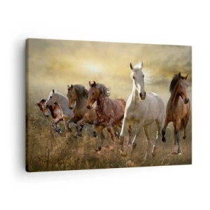Tablou pe pânză Canvas - Un grup de cai în galop pe fundalul soarelui apus - 70x50cm - Trăiască libertatea! - Decorațiune modernă pentru perete pentru living și dormitor ARTTOR