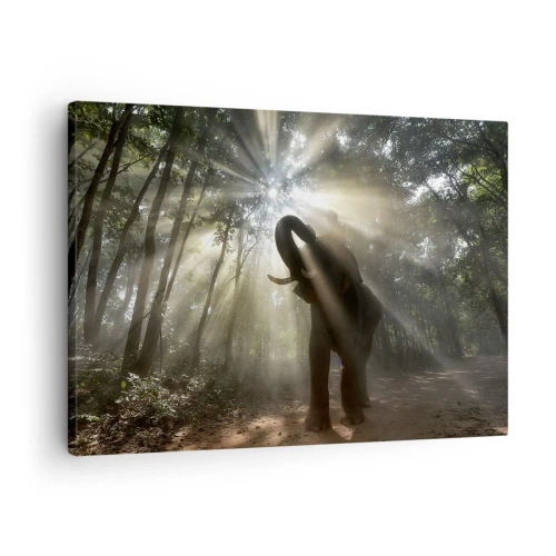 Tablou pe pânză Canvas - Un elefant în pădure, înconjurat de raze de lumină în ceața dimineții - 70x50cm - Sub o stea norocoasă - Decorațiune modernă pentru perete pentru living și dormitor ARTTOR