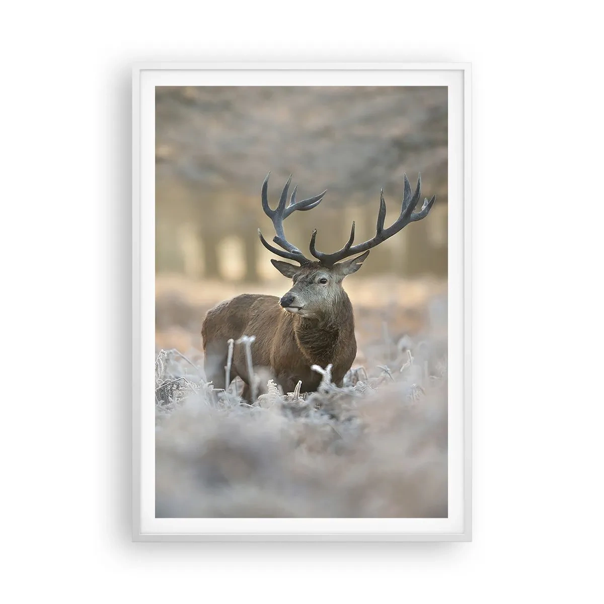 Poster în ramă albă - O dimineață răcoroasă - 70x100 cm