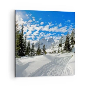 Tablou pe pânză - În zăpadă și soare - 60x60 cm