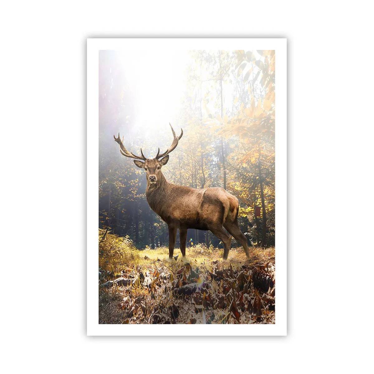 Poster - Măreție calmă - 61x91 cm