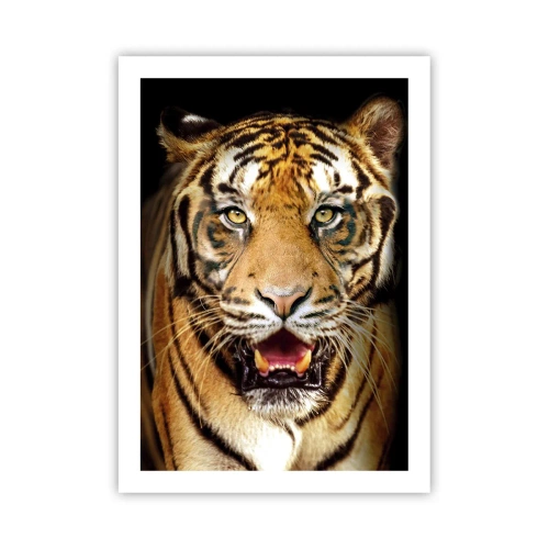 Poster - Sălbăticia inimii - 50x70 cm