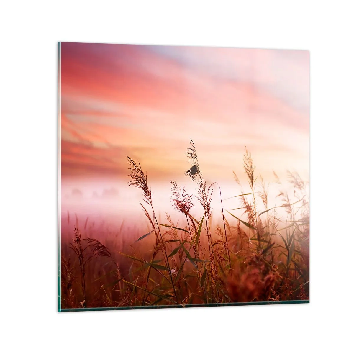 Tablou pe sticlă - Zmeuri, suflante, vânt - 60x60 cm