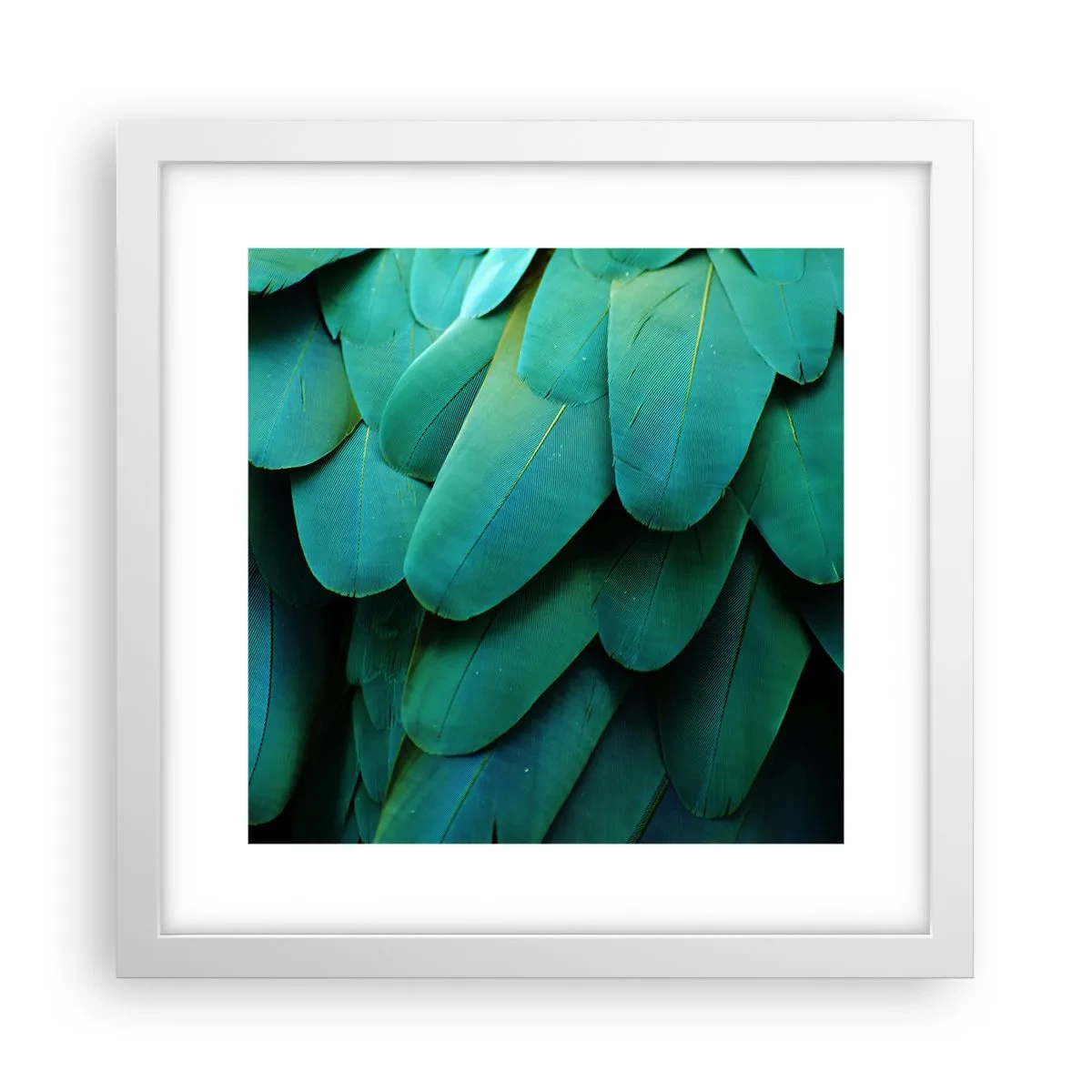 Poster în ramă albă - Precizia naturii papagalicești - 30x30 cm
