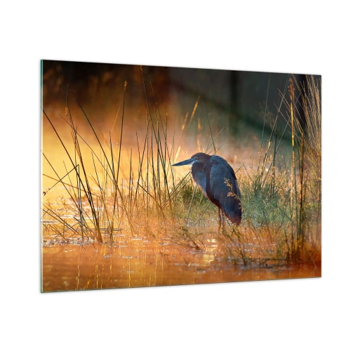 Tablou pe sticlă - Lasă-mă în pace cu aceste fotografii - 100x70 cm