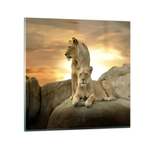Tablou pe sticlă - Maiestate regală - 70x70 cm