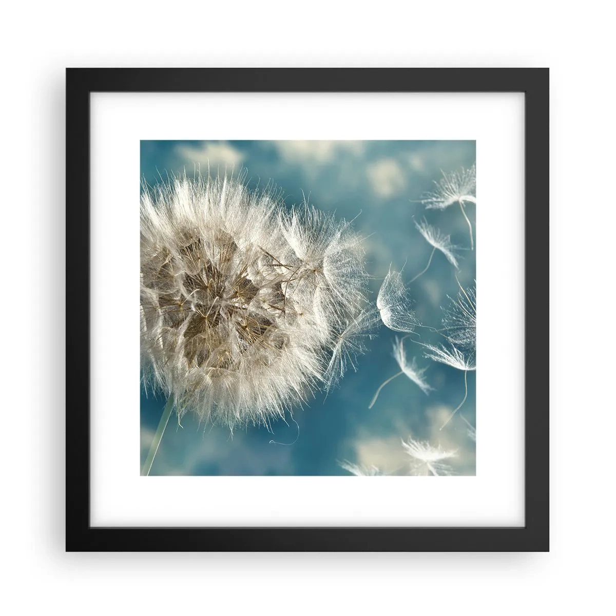 Poster în ramă neagră - Respirația unui înger - 30x30 cm