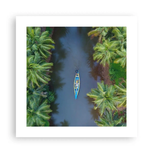 Poster - Pe traseul tropical - 40x40 cm