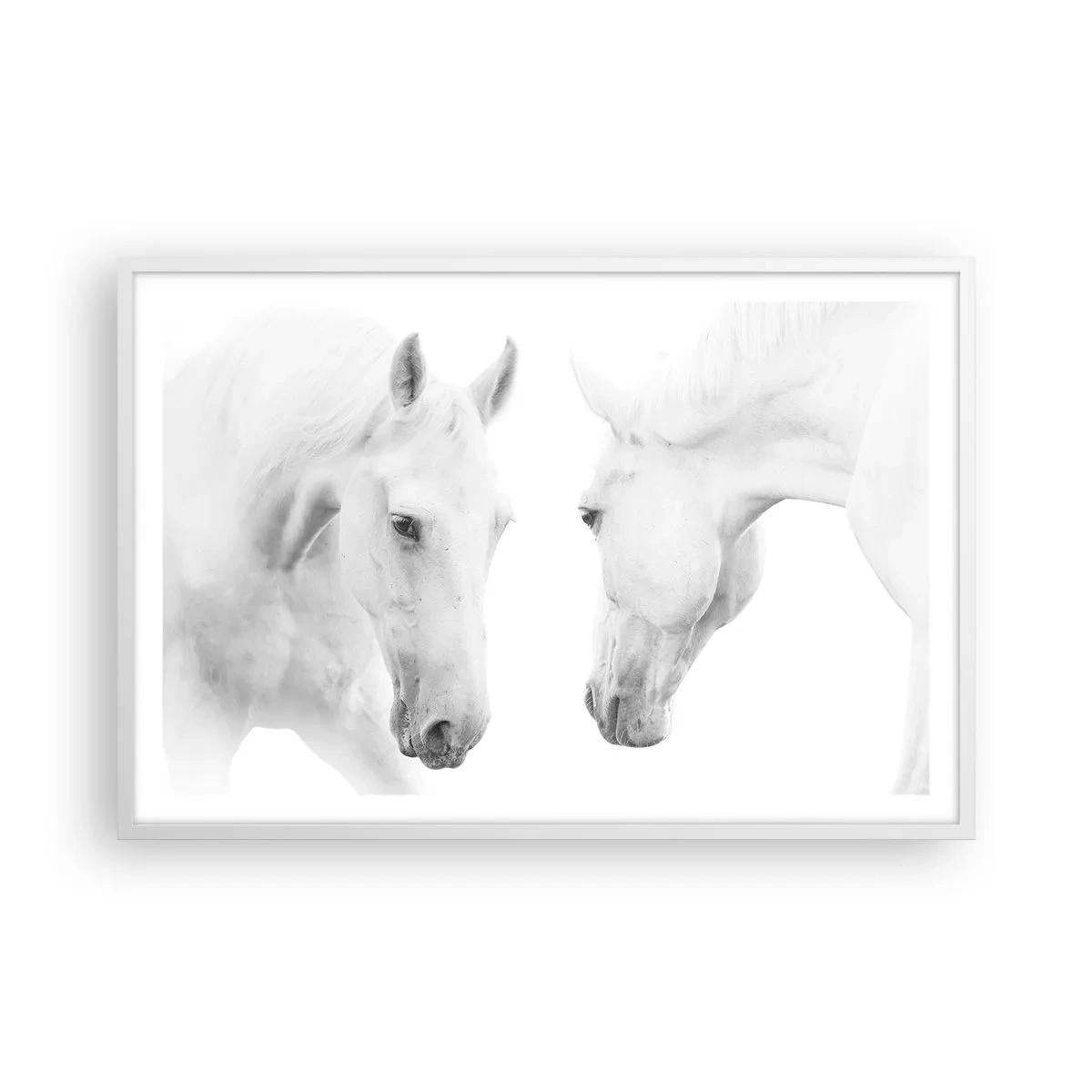 Poster în ramă albă - Este aceasta o prietenie...? - 91x61 cm