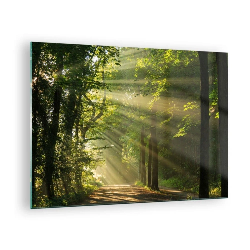 Tablou pe sticlă - O cărare de pădure luminată de razele soarelui - 70x50cm - Moment de pădure - Decorațiune modernă pentru perete pentru living și dormitor ARTTOR