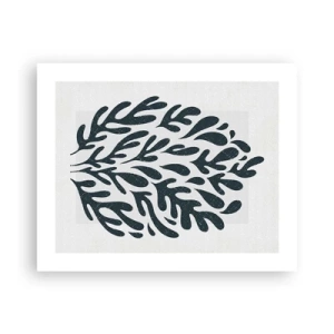 Poster - Formele naturii - 50x40 cm