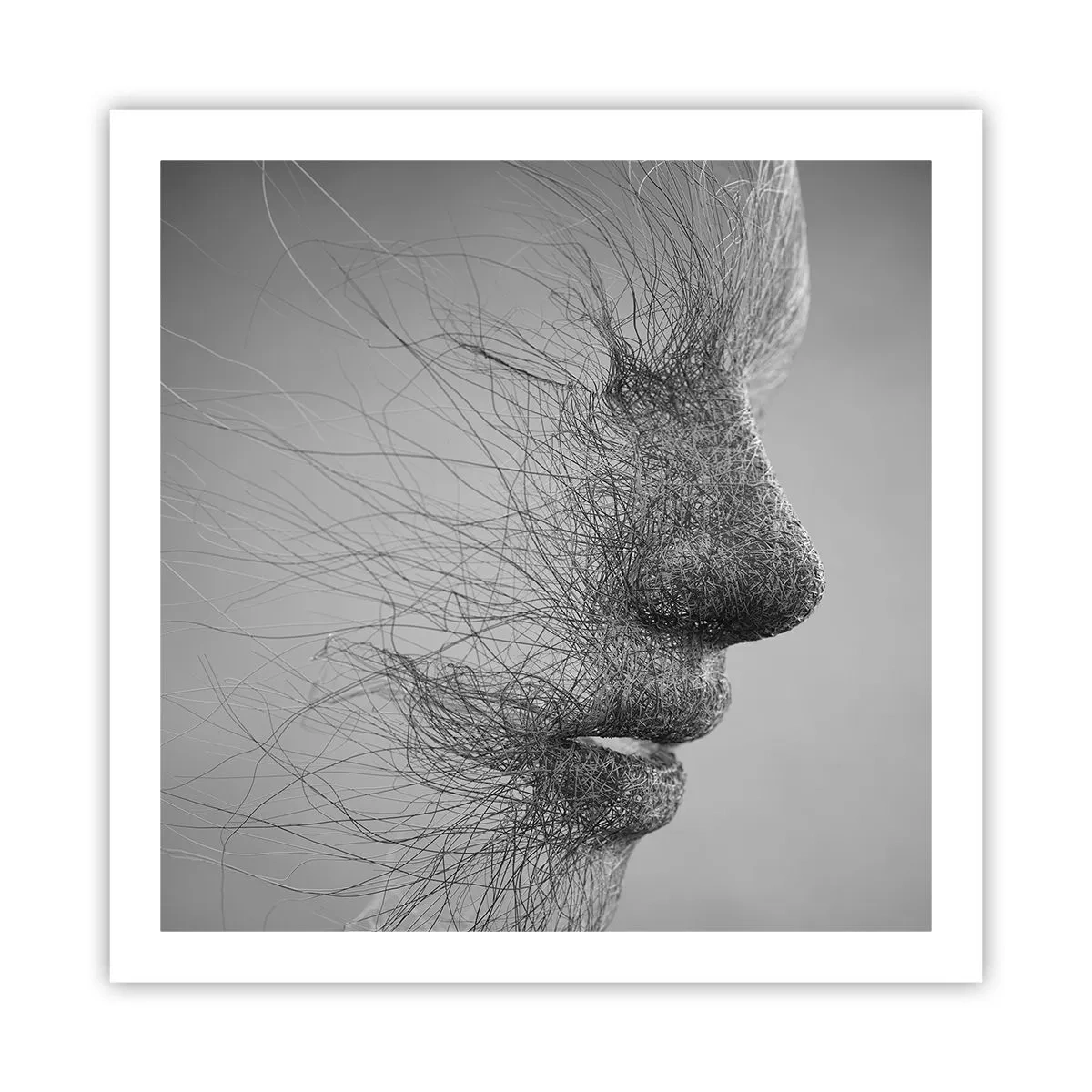 Poster - Spiritul vântului - 60x60 cm