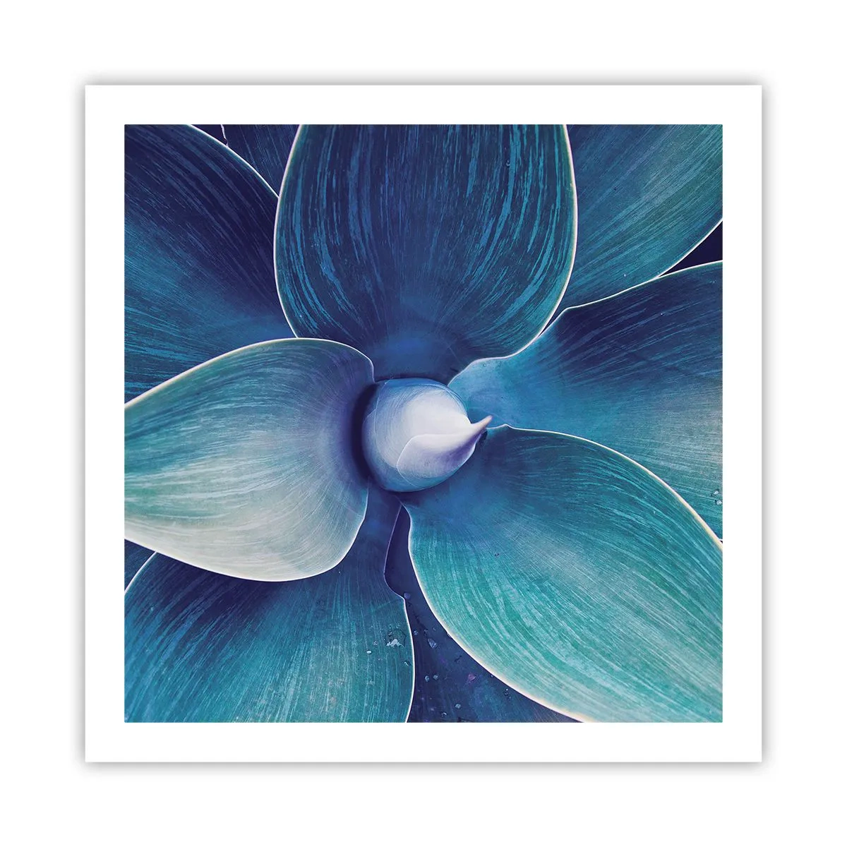 Poster - A furat albastrul de la cer - 60x60 cm