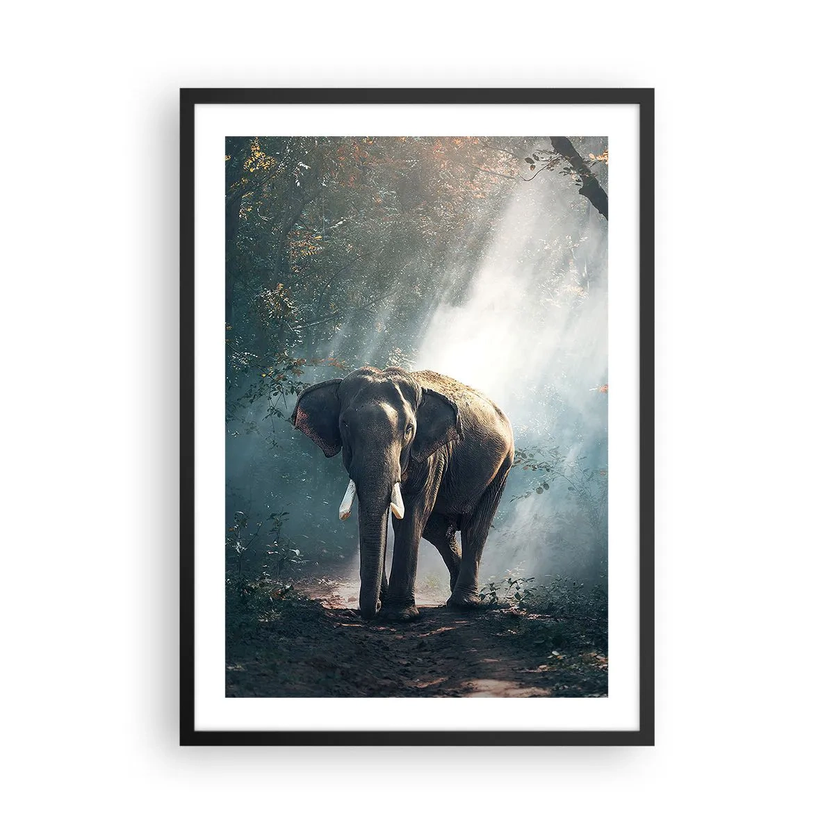 Poster în ramă neagră - Un elefant care se scaldă la soare într-o pădure densă - 50x70cm - O plimbare liniștită - Decorațiune modernă pentru perete pentru living și dormitor ARTTOR