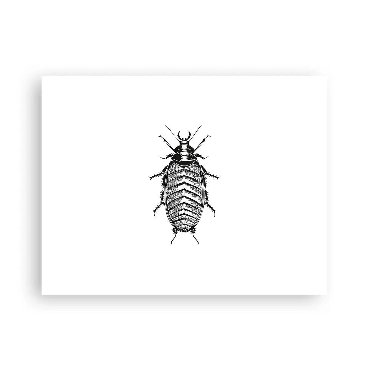 Poster - Ce specimen! - 40x30 cm