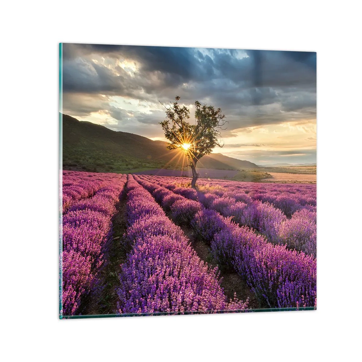 Tablou pe sticlă - Aroma în liliac - 30x30 cm