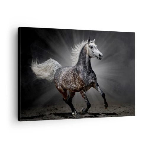 Tablou pe pânză Canvas - Un cal alb galopând pe un fundal întunecat - 70x50cm - Griul elefantin este frumos - Decorațiune modernă pentru perete pentru living și dormitor ARTTOR