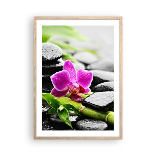 Poster în ramă de stejar deschis - Într-un echilibru pașnic - 50x70 cm