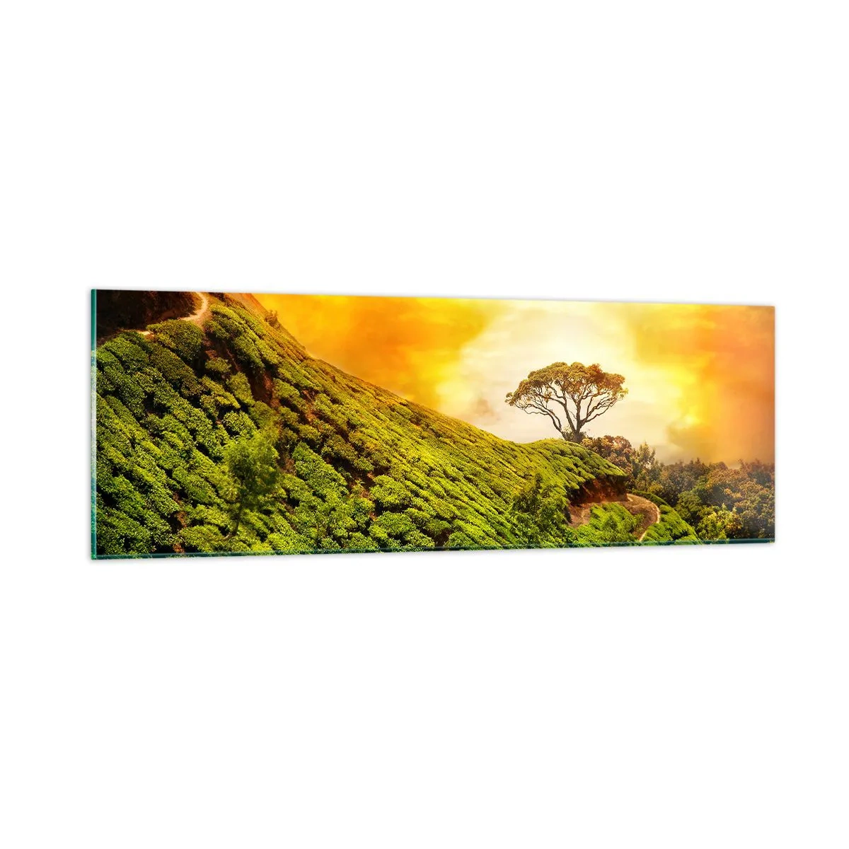 Tablou pe sticlă - O cărare sinuoasă, o pantă verde - 90x30 cm