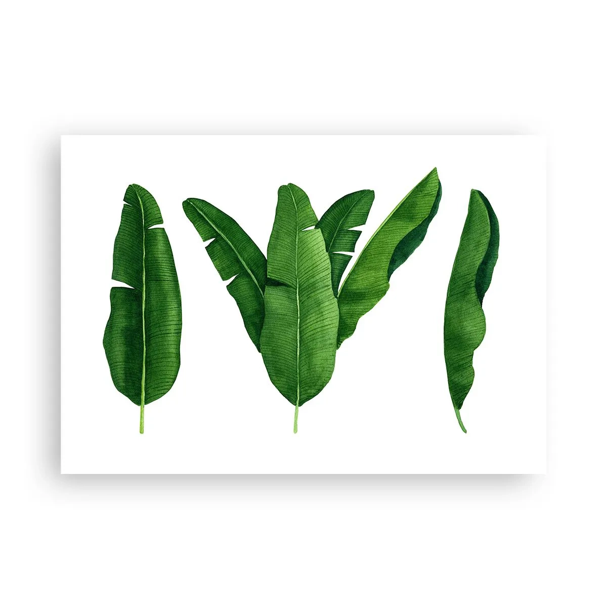 Poster - Simetrie verde - 100x70 cm