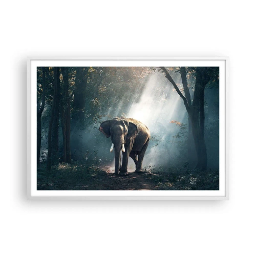 Poster în ramă albă - O plimbare liniștită - 100x70 cm