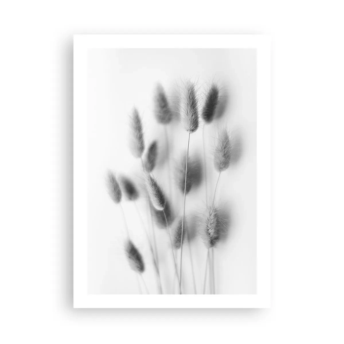 Poster - Pufoșenia ierbii - 50x70 cm