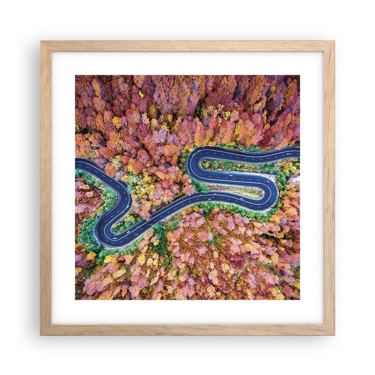 Poster în ramă de stejar deschis - Un drum șerpuit prin pădure - 40x40 cm