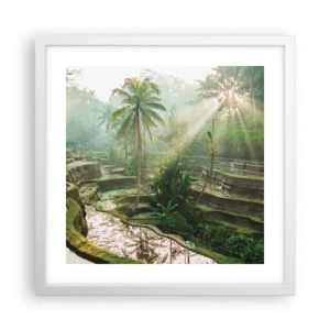 Poster în ramă albă - Crescând la soare - 40x40 cm