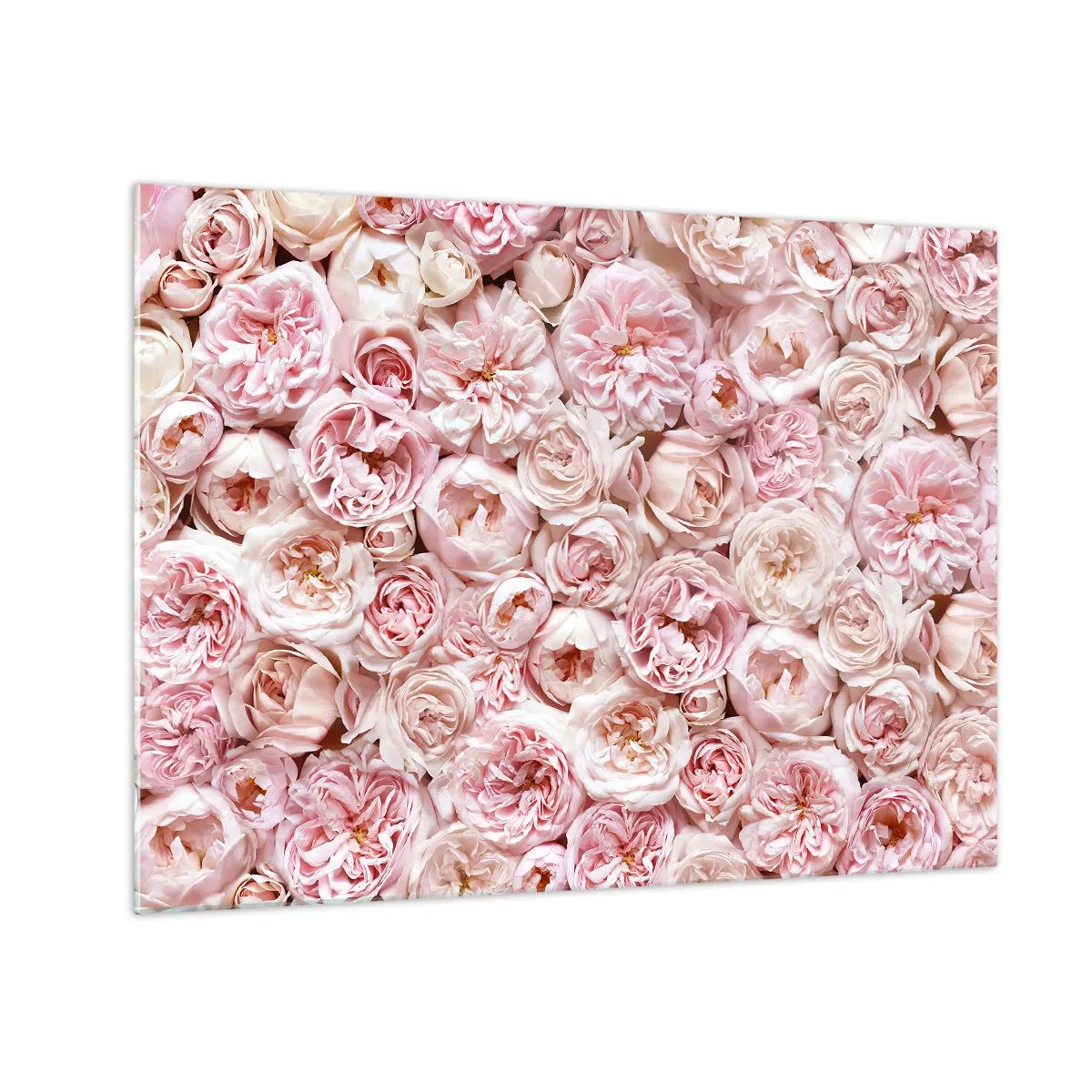 Tablou pe sticlă - Trandafiri pastelați într-un aranjament floral dens - 70x50cm - Presărat cu trandafiri - Decorațiune modernă pentru perete pentru living și dormitor ARTTOR