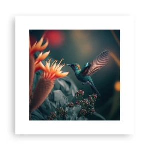 Poster - Viață cu adevărat colorată - 30x30 cm