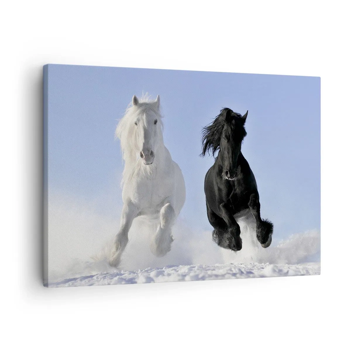 Tablou pe pânză Canvas - Un cal alb și unul negru galopând prin zăpadă - 70x50cm - Galop de alb și negru - Decorațiune modernă pentru perete pentru living și dormitor ARTTOR
