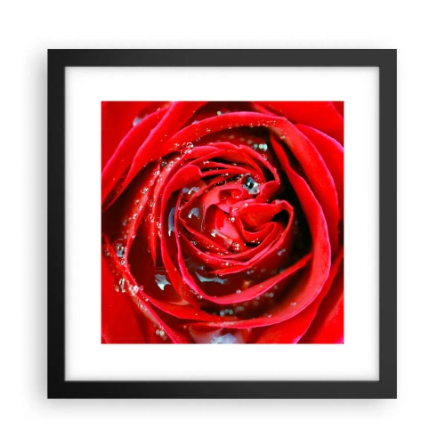 Poster în ramă neagră - În picături de rouă - 30x30 cm