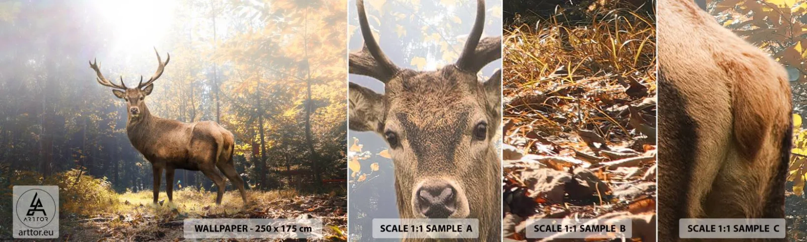 Mostră tapet autocolant Deluxe Sticker - Măreție calmă - Peisaj, Cerb, pădure - 100x30 cm