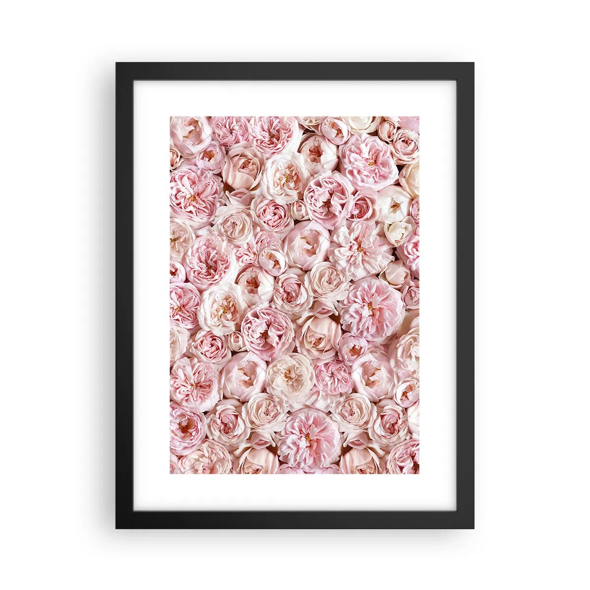 Poster în ramă neagră - Presărat cu trandafiri - 30x40 cm