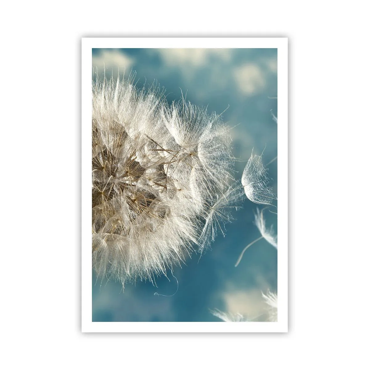 Poster - Respirația unui înger - 70x100 cm