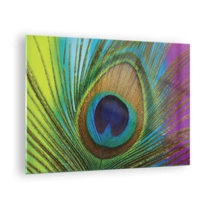 Tablou pe sticlă - Un prim-plan al unei pene de păun colorate - 70x50cm - Ochi în ochi - Decorațiune modernă pentru perete pentru living și dormitor ARTTOR