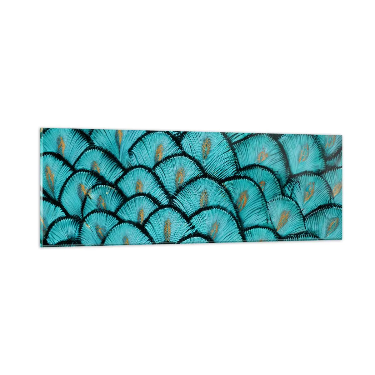 Tablou pe sticlă - Marea gală a penelor - 90x30 cm