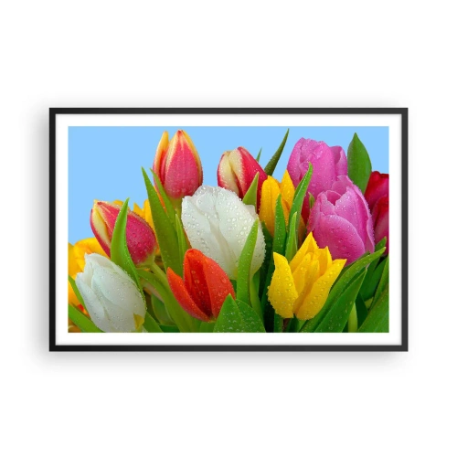 Poster în ramă neagră - Un curcubeu floral în picături de rouă - 91x61 cm