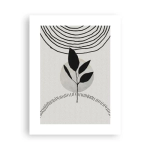 Poster - Compoziție: ritualurile naturii - 30x40 cm